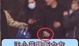 汪小菲的爆料与澄清视频,揭秘事件真相