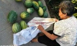 梁山大瓜爆料视频最新,最新视频爆料梁山好汉真相